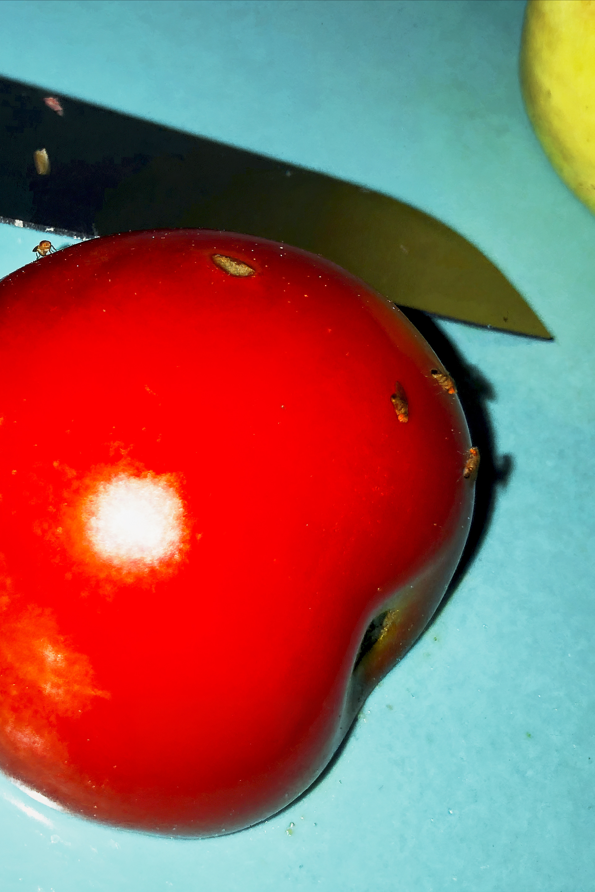 About Food, Freie Projekte