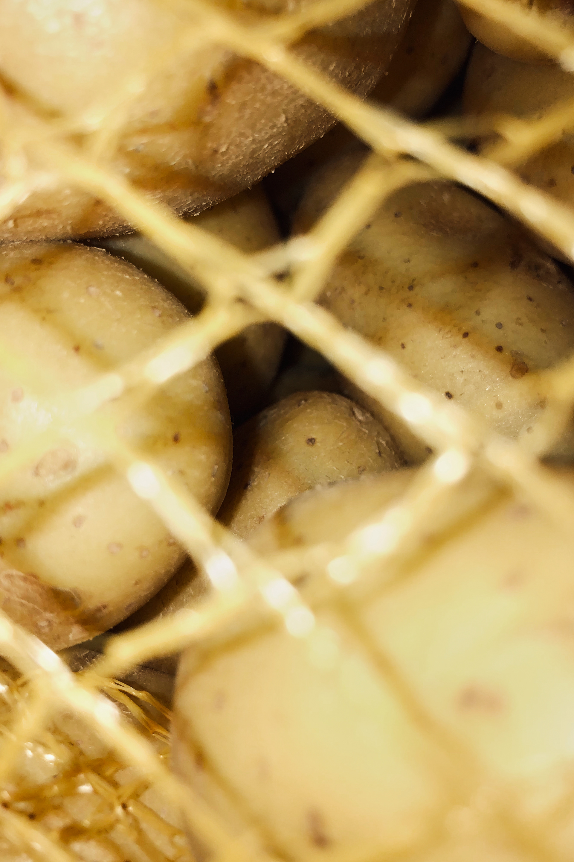 About Food, Fotografie 2